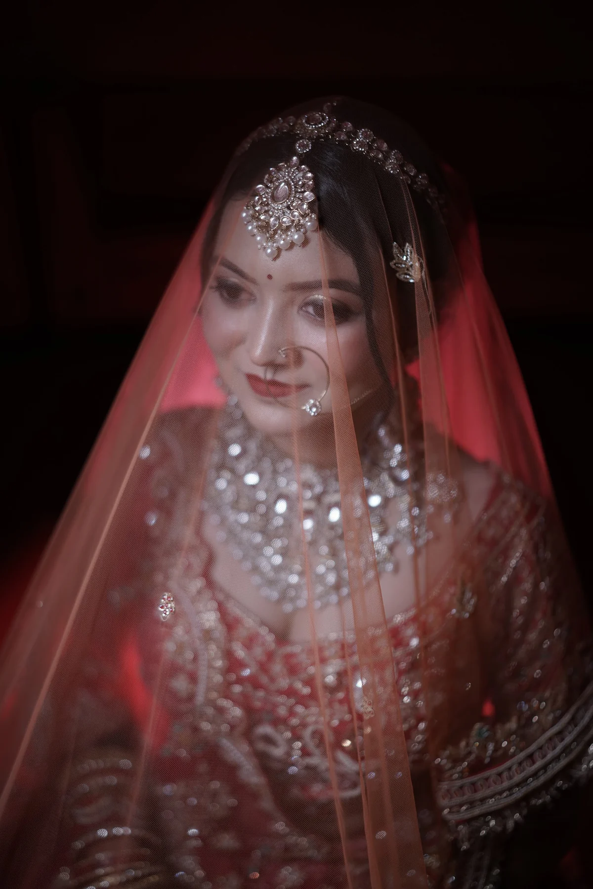 The Crimson Veil Bridal Portrait